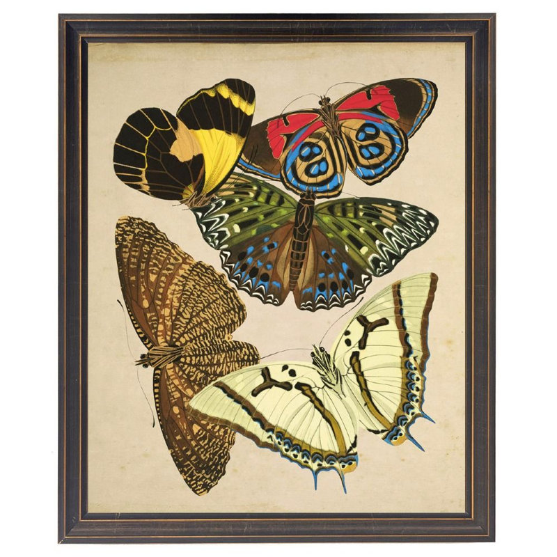 Papillons multicolores dans un cadre noir et doré