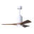 Patricia Ceiling Fan with LED Lights-1246508032-1323140966-1246495511