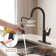 CASAINC Single-Handle Pull-Down Kitchen Faucet Single Hole Faucet