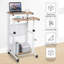Adjustable Metal Base Standing Desk