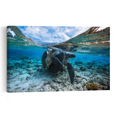 Tropical Sea Turtle Pair Abstract Turtle Nature Ocean Wall Art Print 1 Piece Wrapped Canvas Wall Art