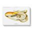 Velodona Octopus by Carl Chun - Wrapped Canvas Painting-55370195