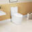 Ceramic Elongated Toilet, 1.1/1.6 , White Color, Comfort Height, Soft Close Seat, & , T036wt Elongated, White, Comfortable,
