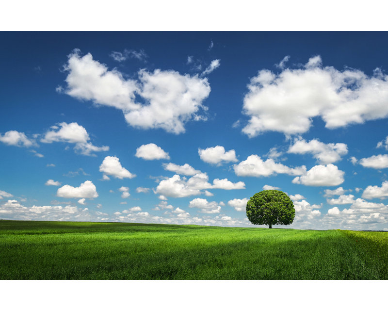 Wrapped Canvas Print, 60.96 cm H x 91.44 cm W