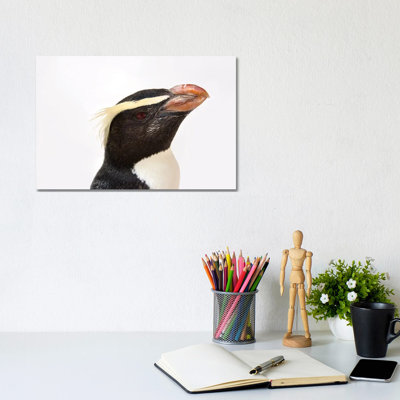 A Fiordland Penguin At The Taronga Zoo by Joel Sartore - Gallery-Wrapped Canvas Giclée on Canvas