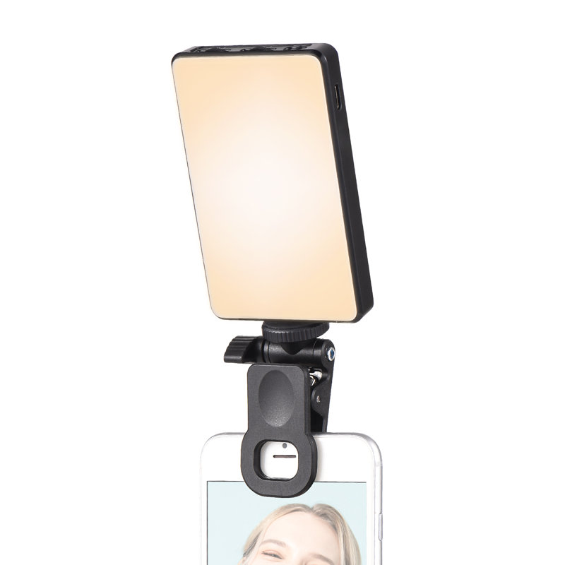 Plug-in Table Picture Light