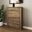 Allred 12 Pair Shoe Storage Cabinet
