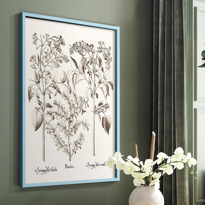 Sépia Besler Botanicals I, reproduction encadrée - bois massif, Bleu, H 10 po x l 8 po
