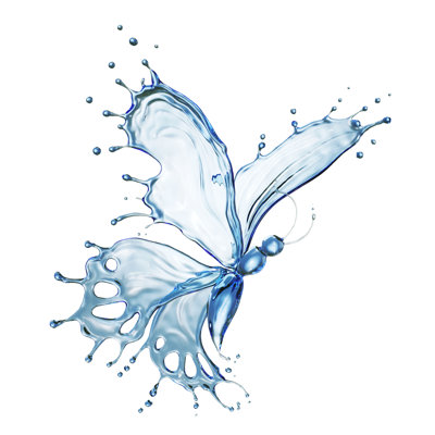 Bristoly papillon d'éclaboussure d'eau