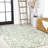 Truman Bohemian Medallion Textured Weave Green/Cream Indoor/Outdoor Rug-616034185
