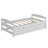 Platform Bed With Trundle-2133193035