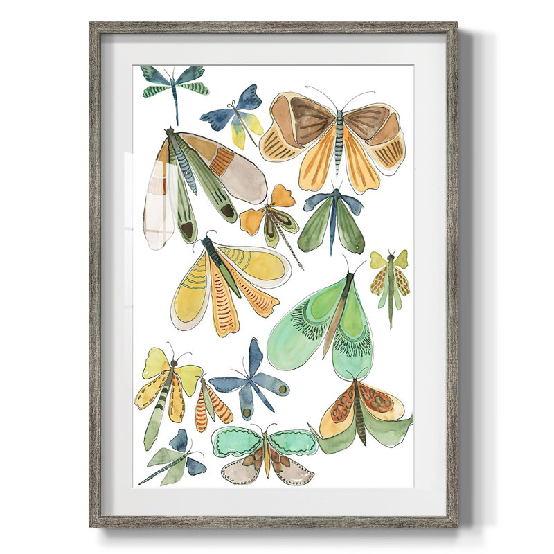 Wings Galore II -Framed Print, Distressed, 28.5" H x 20.5" W