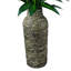72 po Faux Dracaena