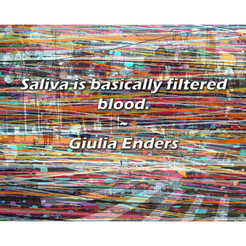 Giulia Enders Quote: Saliva is basically filtered blood.