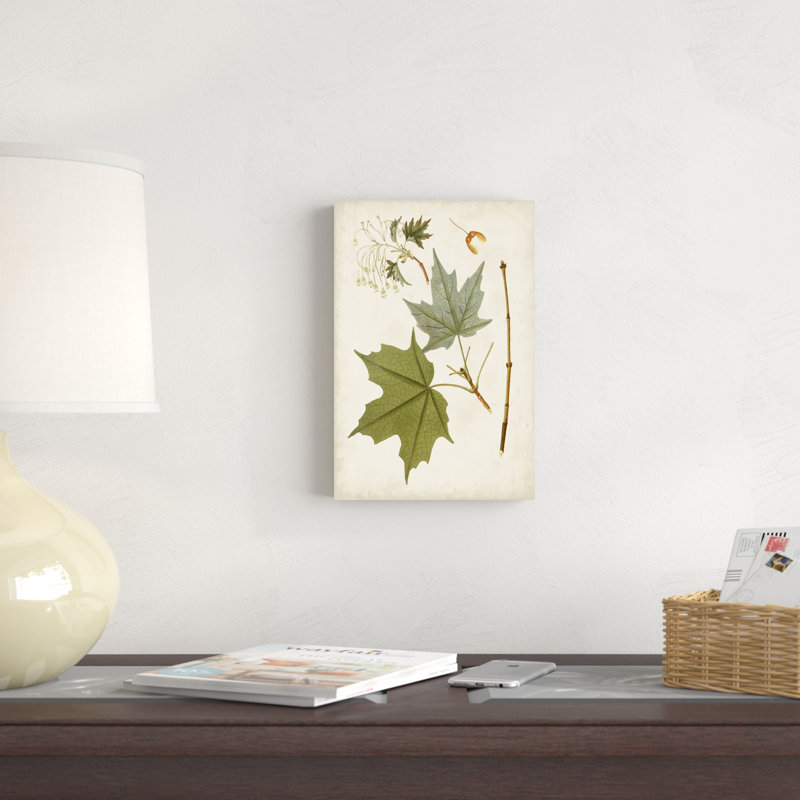 Feuilles antiques VII, H 12 po x l 8 po