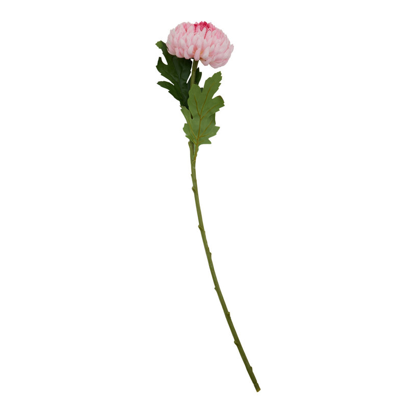 Fiori Chrysanthemum Arrangement