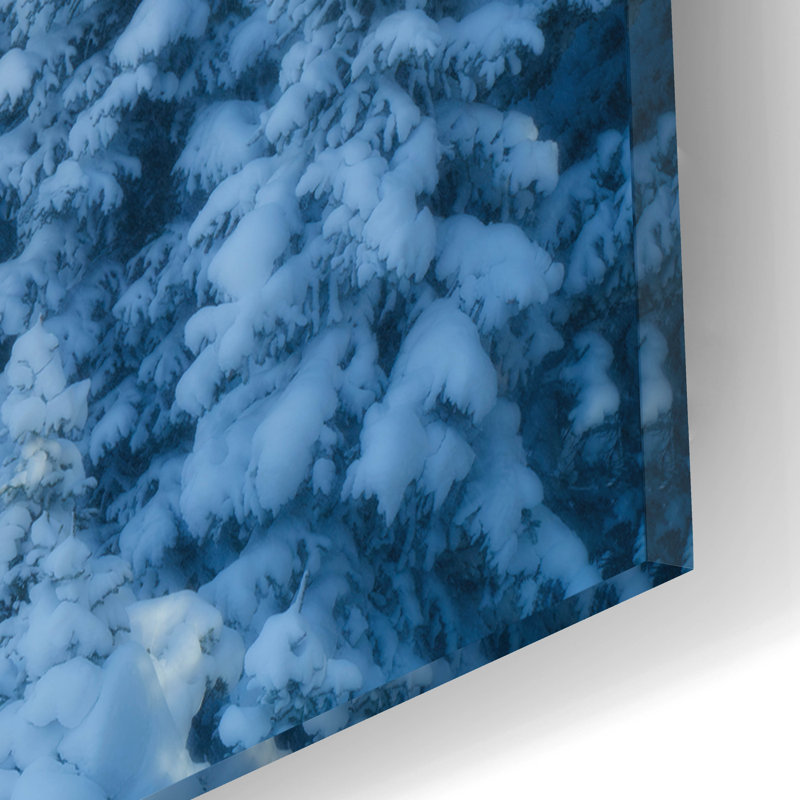 «Snowy Spruce» par Rick Berk, art mural en verre acrylique, H 16 po x l 12 po x P 0,13 po