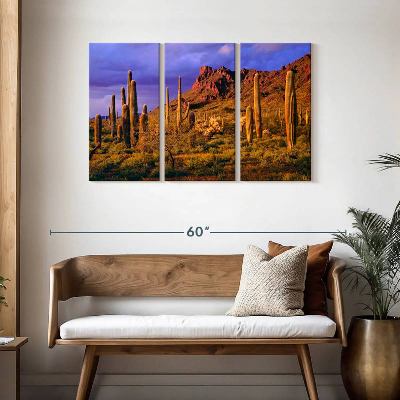 Harnek Arizona Cactus Plants, H 28 po x l 45 po