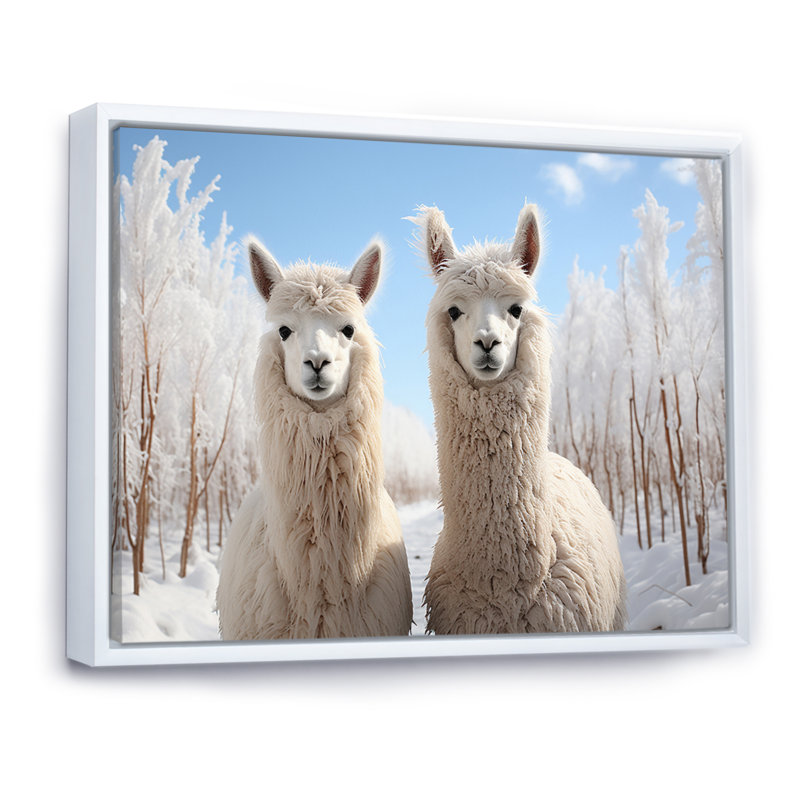 Alpagas Graceful Alpacas III - impression, H 16 po x l 32 po x P 1 po, Cadre flottant blanc