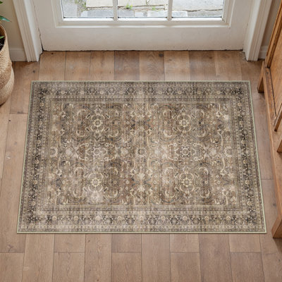 Briar Distressed Traditional Area Rug