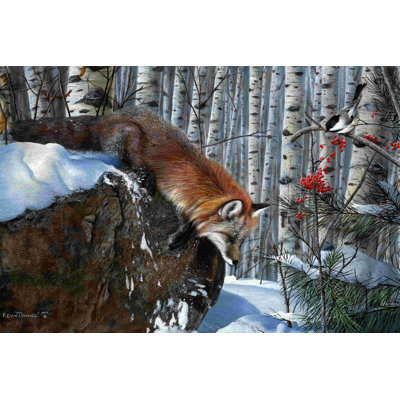 Fox In Winter by Kevin Daniel - Wrapped Canvas Print