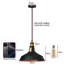 Annesa 1-Light Pendant –Black Inner Gold Industrial Modern Ceiling Light by Borough Wharf-45460084