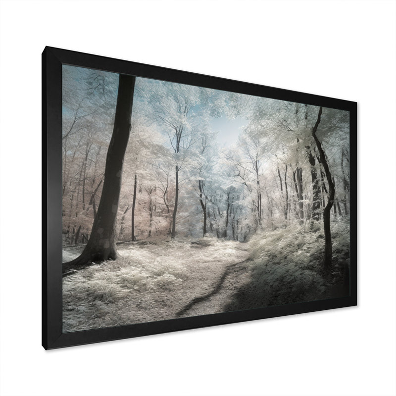 Ryiah " Snow Covered Trees ", Black Picture Framed, 12" H x 20" W x 1" D