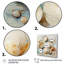 Beige Clam Nautical Treasures I - Animals Wall Decor-1009106762-1009106752
