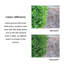 Faux Boxwood Topiary in Pot-66642383