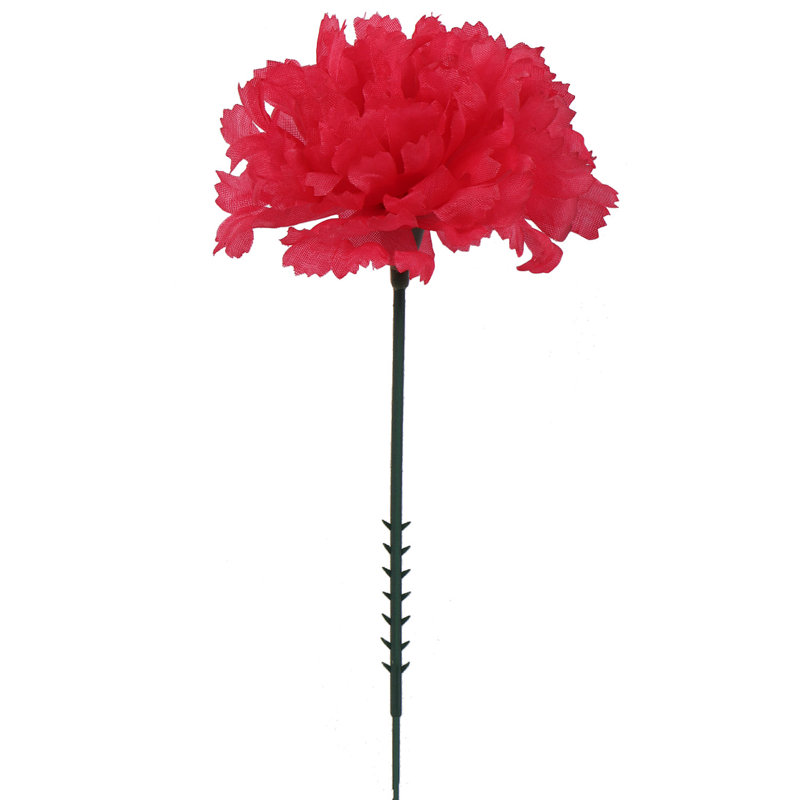 Tige d'œillet, Fuchsia