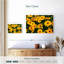 Harnek Gloriosa Daisies-108702281
