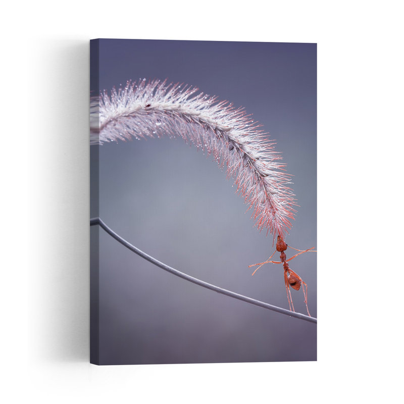 Red Ant'S Delicate Balance Delicate Tranquil Contemporary Ant Nature Plant Wall Art Print by Fauzan Maududdin - Print