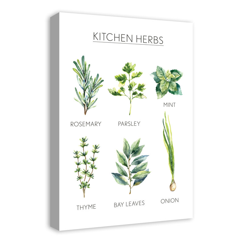 « aquarelle, herbes de cuisine », impression sur toile