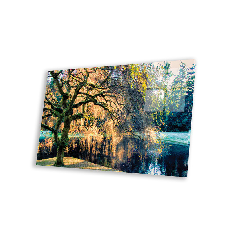 Saule - peinture sans cadre