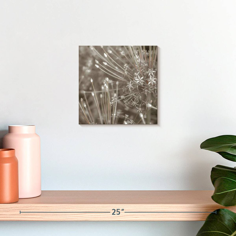 Harnek argent alliums