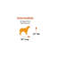 Lit pour animaux Midx-739407692
