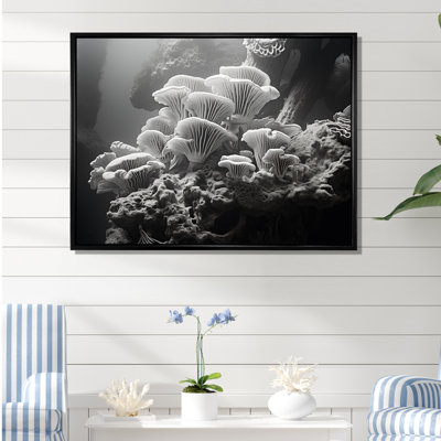 Anémone noire et blanche I sur toile