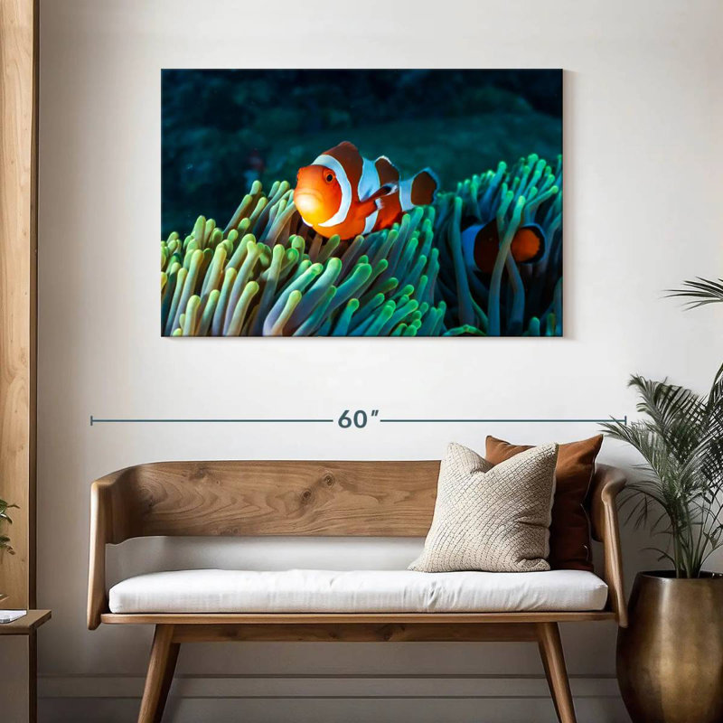 Brampt Frowning Clownfish, 30" H x 45" W