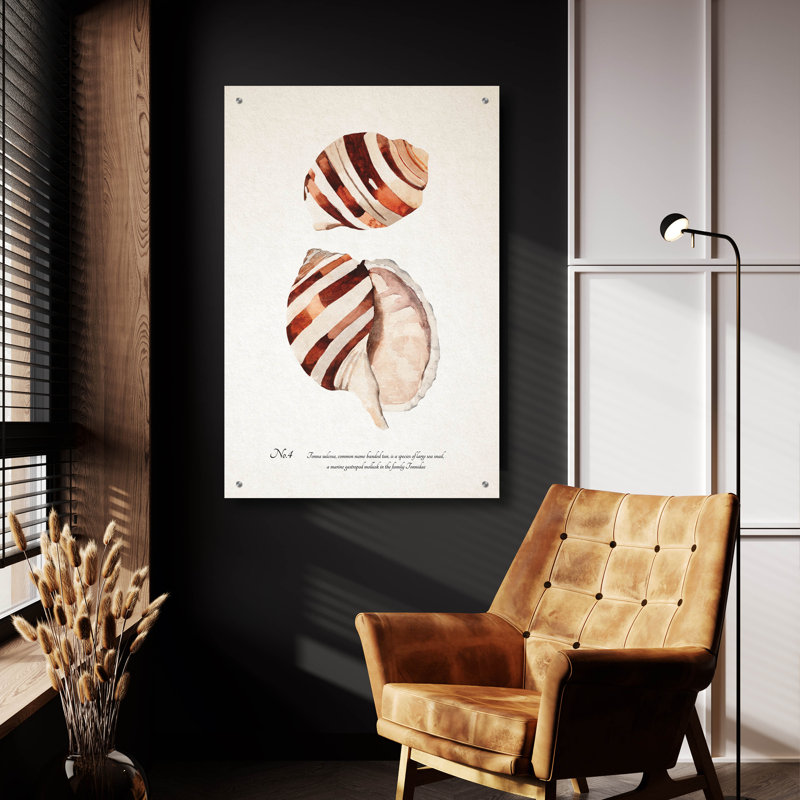 Art mural en verre acrylique 24 po x 36 po «Sienna Shell Collector 4» par Annie Warren, H 36 po x l 24 po
