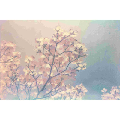 " Flowering Dogwood I " by Jason Johnson Painting Print