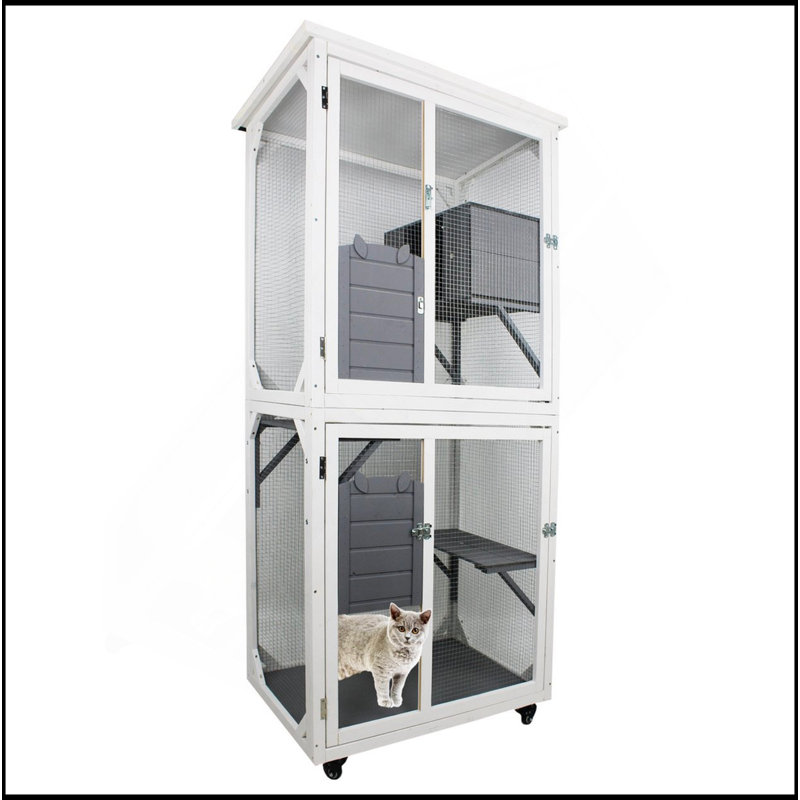 Cage de jeu d'extérieur pour chat