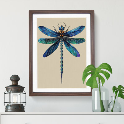 View of a Dragonfly - Framed Print
