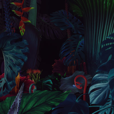 Surreal Night Jungle by Vizerskaya