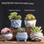 5 petits pots