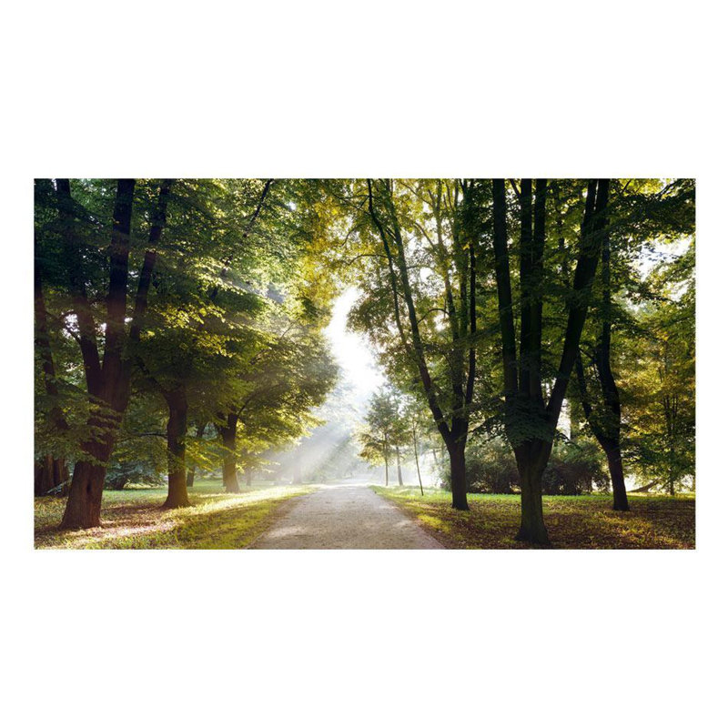 Murale lisse Annekee L 110,2 pi x l 192,9 po