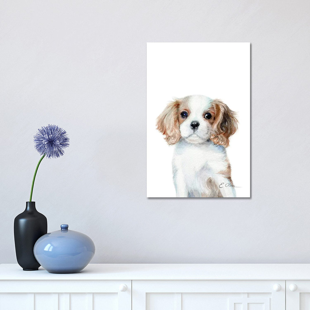 King Charles Cavalier Spaniel Puppy - Wrapped Canvas Print