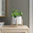 Planter - Transform Your Space with This Stylish, Must-Have Home Accessory-390642784