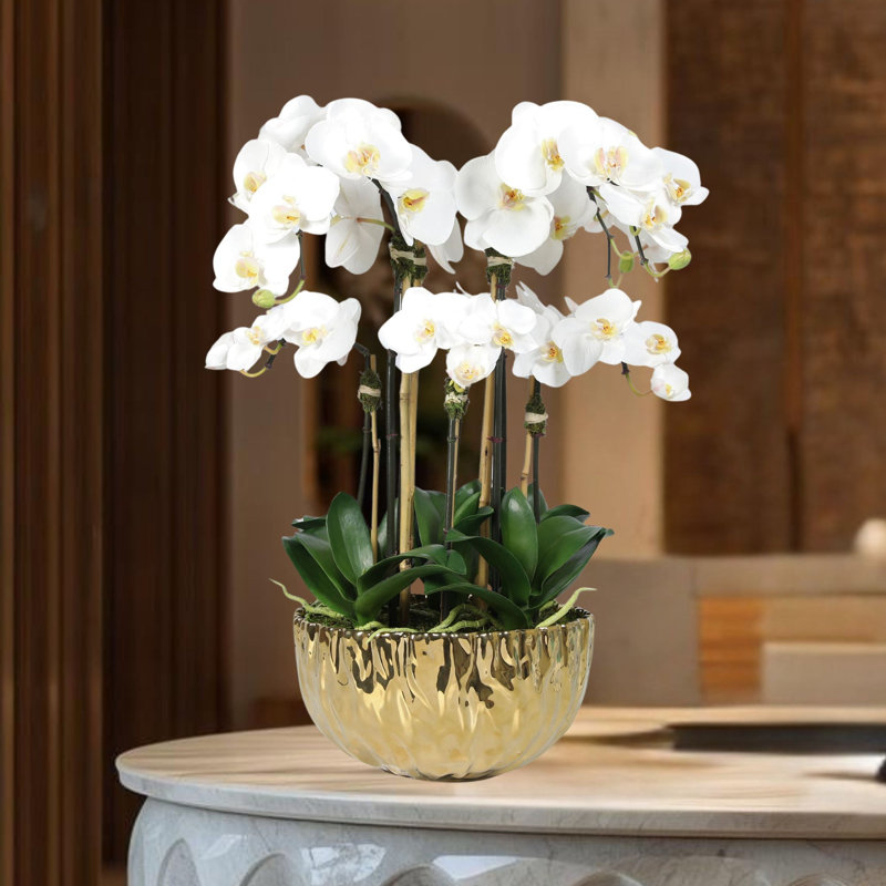 Arrangement d'orchidées dans un vase, Doré