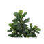 Plante artificielle