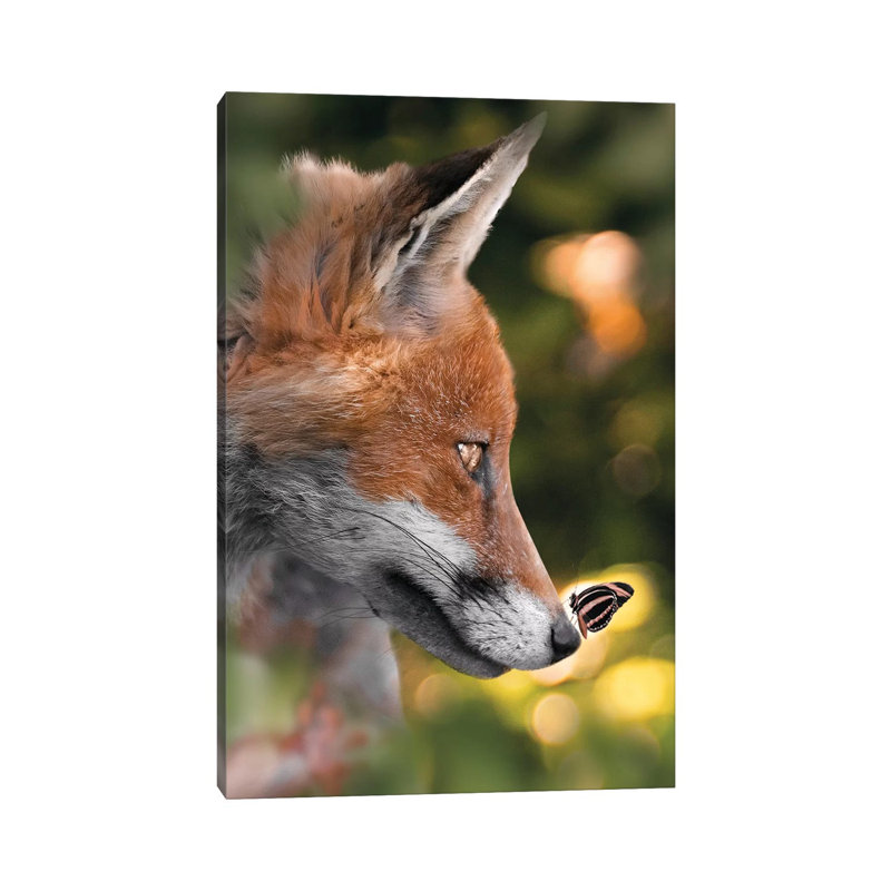 The Fox And Cute Butterfly by Zenja Gammer - Print on Canvas, Wrapped Canvas, 30.48 cm H x 45.72 cm W